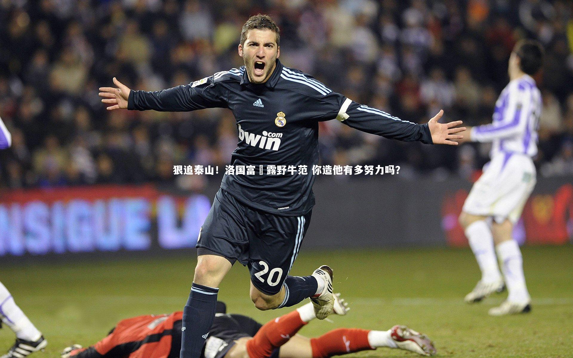 狠追泰山！洛国富叒露野牛范 你造他有多努力吗？